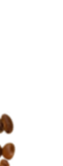 Close-up of three coffee beans with a dark background.
